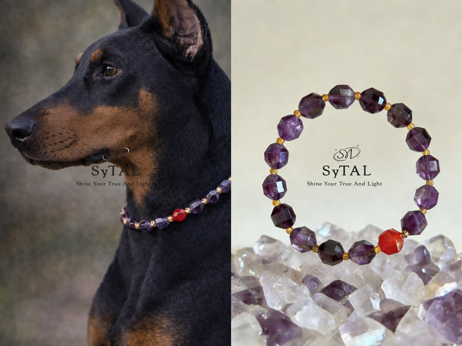 The Shared Energy of Pets and Crystals: A Matching Purple & Red Agate Set for Pet and Owner