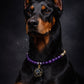 Amethyst & Black Tourmaline Guardian Pet Collar