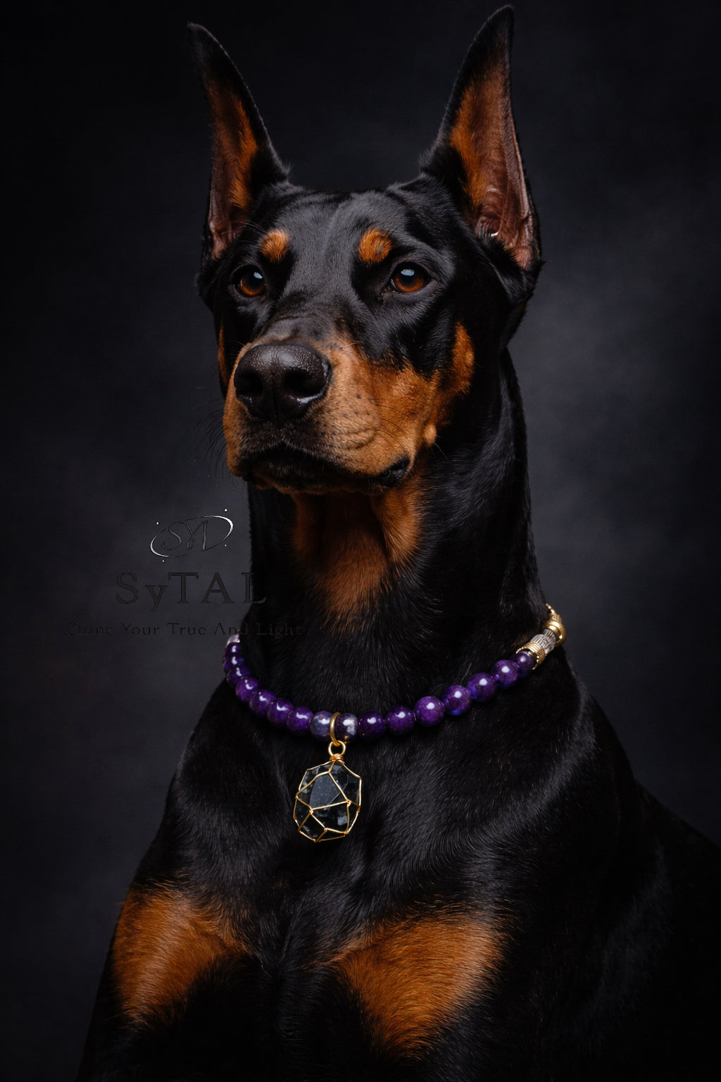 Amethyst & Black Tourmaline Guardian Pet Collar