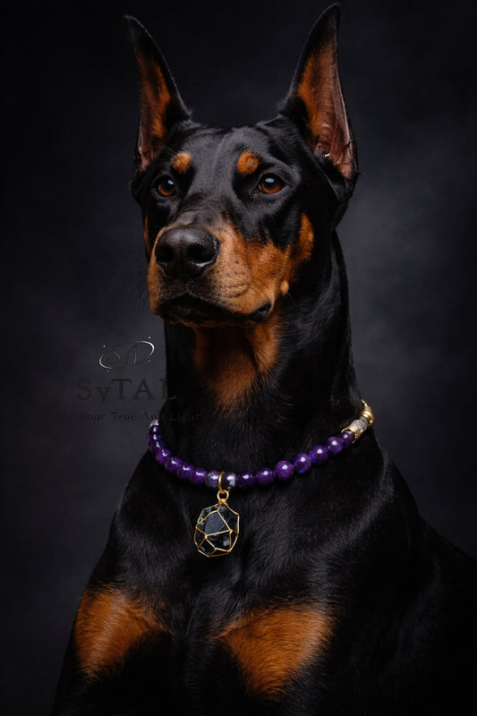 Amethyst & Black Tourmaline Guardian Pet Collar