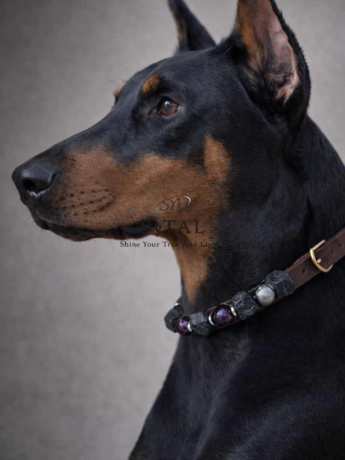 🐾 Bonded by Crystals