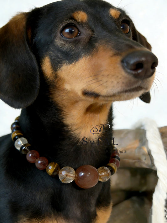 Matching vibes with my fur baby 💕