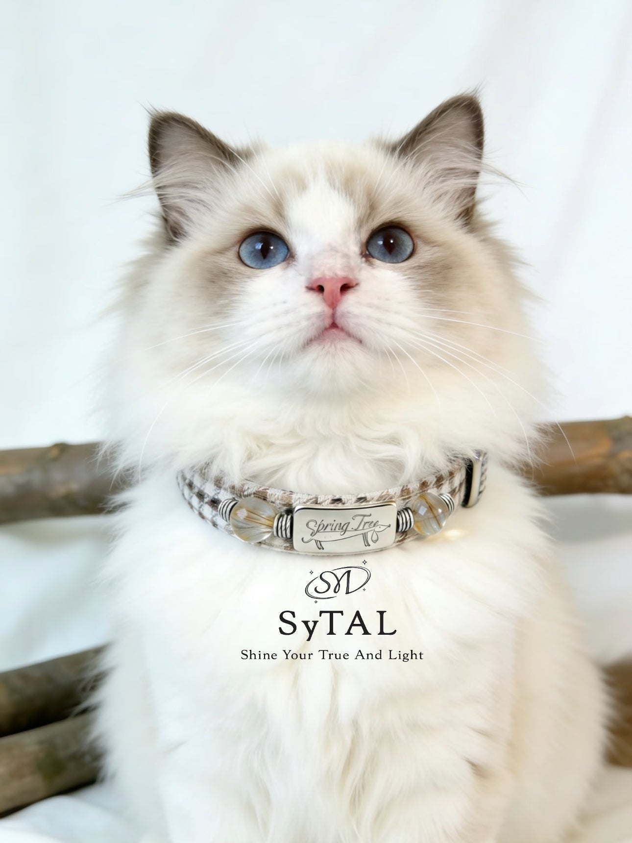 SyTAL Pet & Parent Matching Set